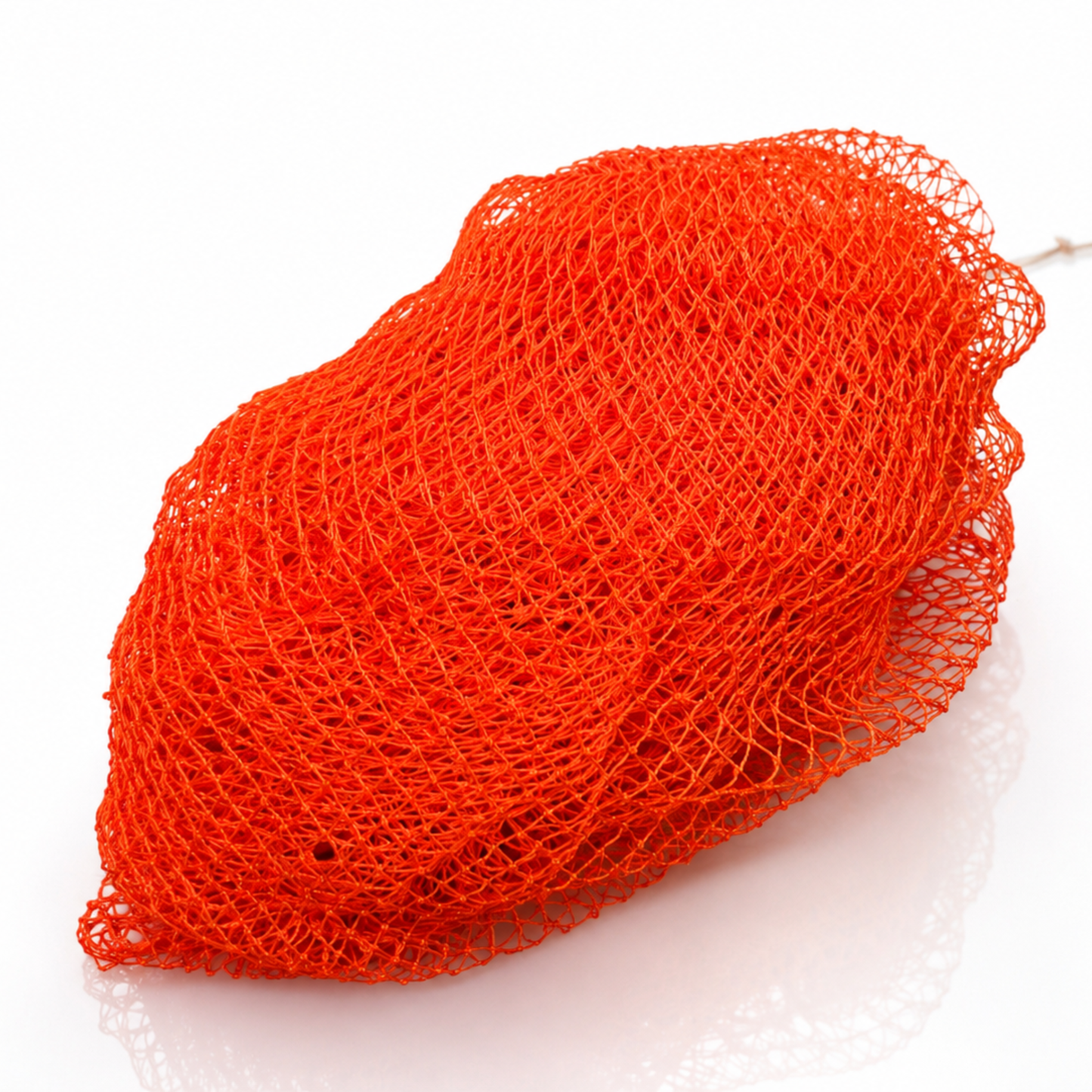 Soft Exfoliating Sponge